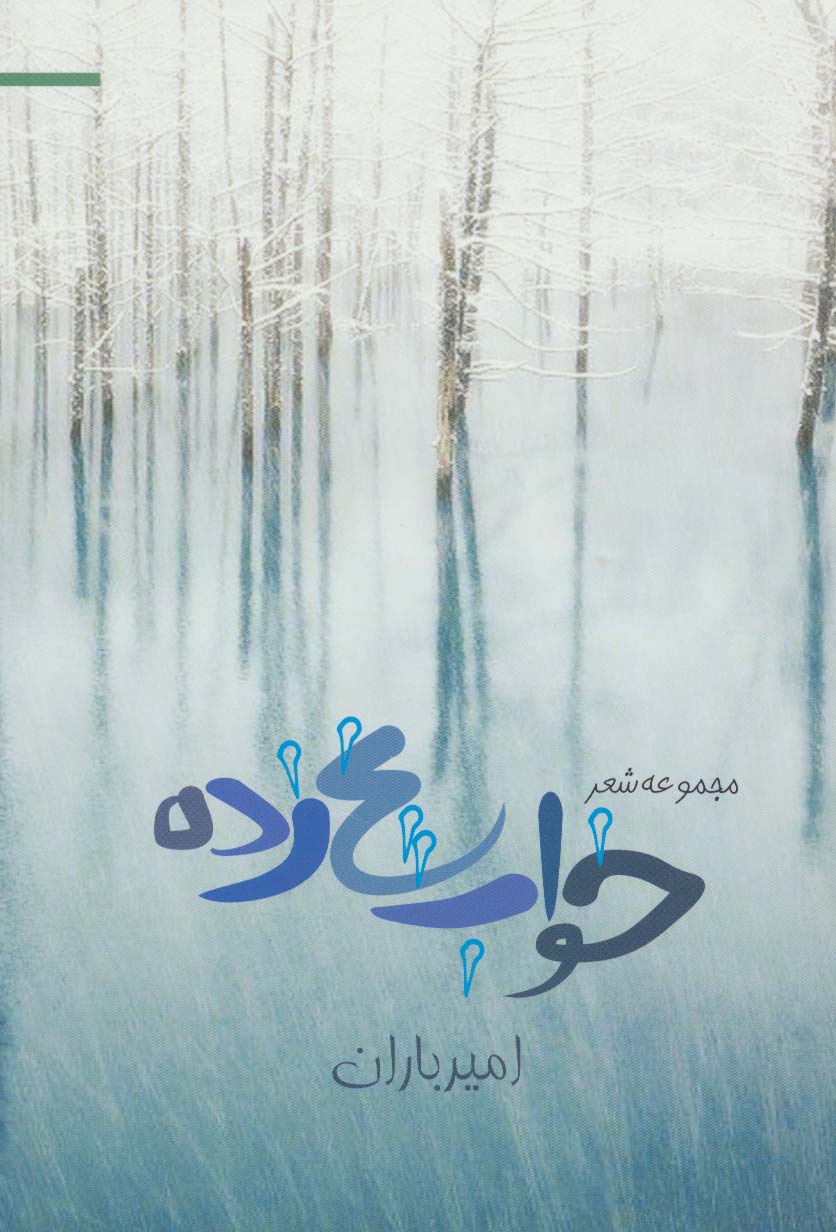 خواب یخ زده (مجموعه شعر)