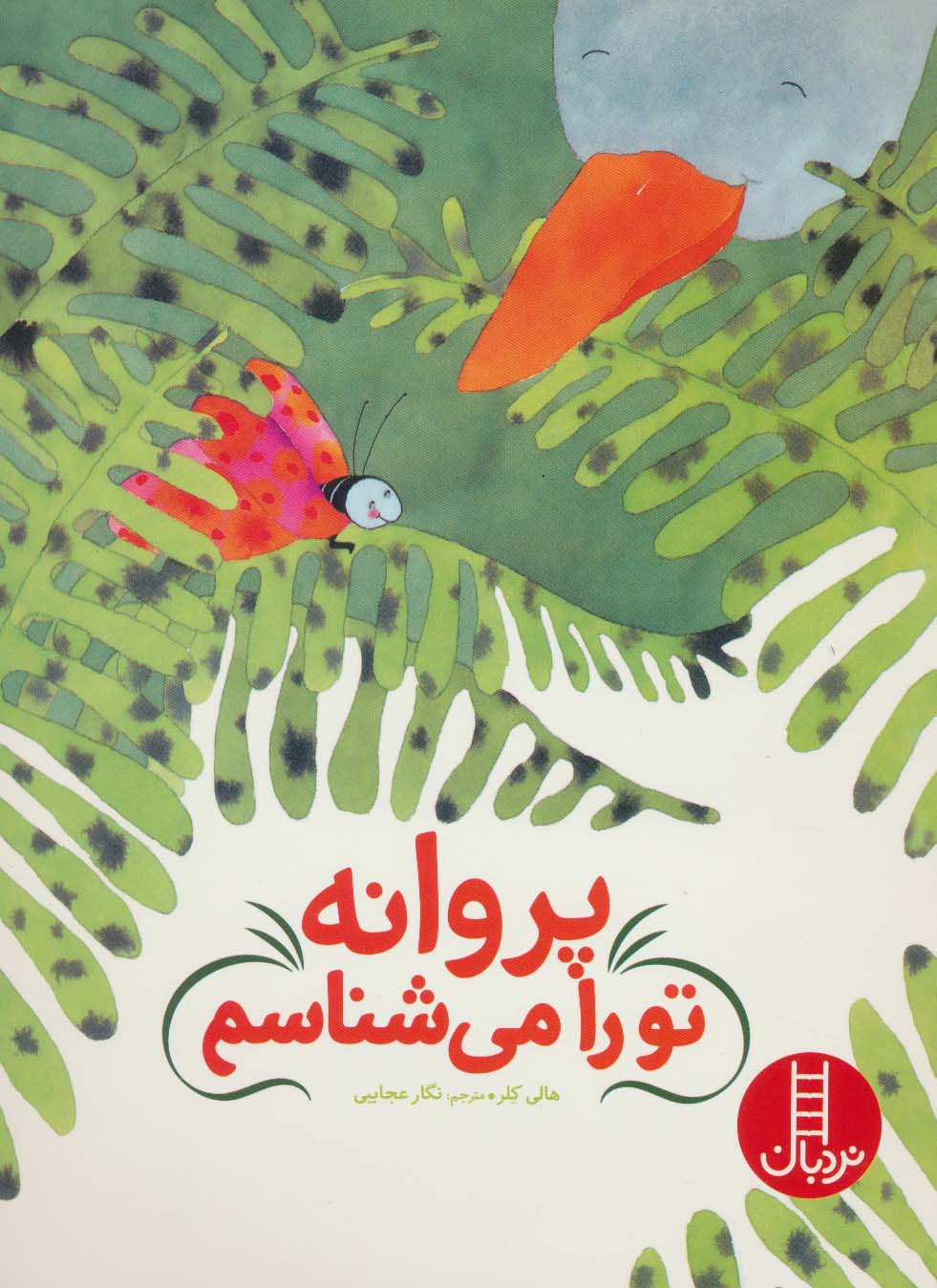 پروانه تو را می شناسم (گلاسه)