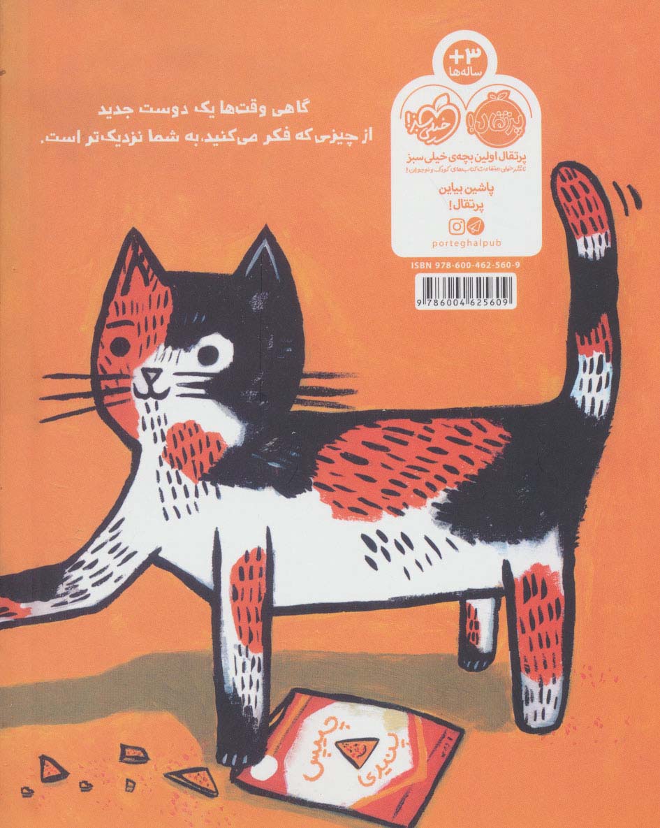 گربه ی گمشده پیدا شده! (گلاسه)