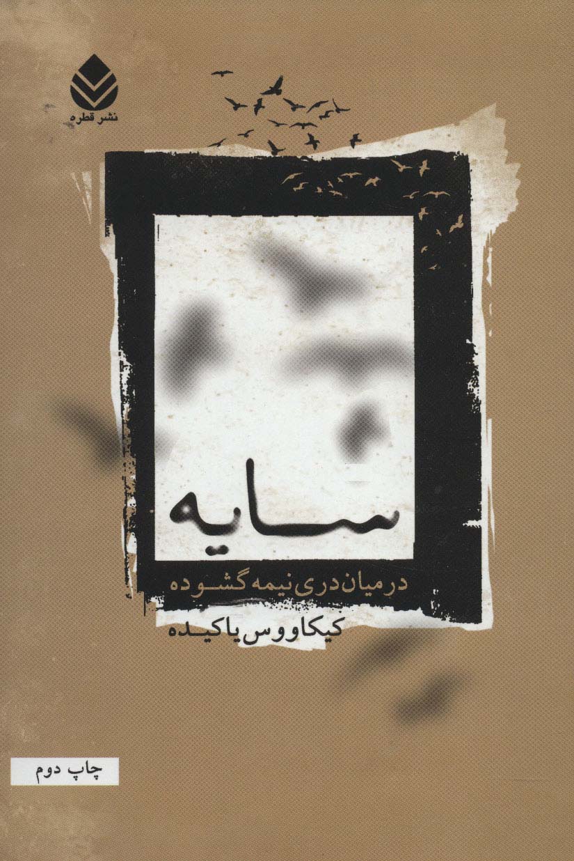 سایه در میان دری نیمه گشوده