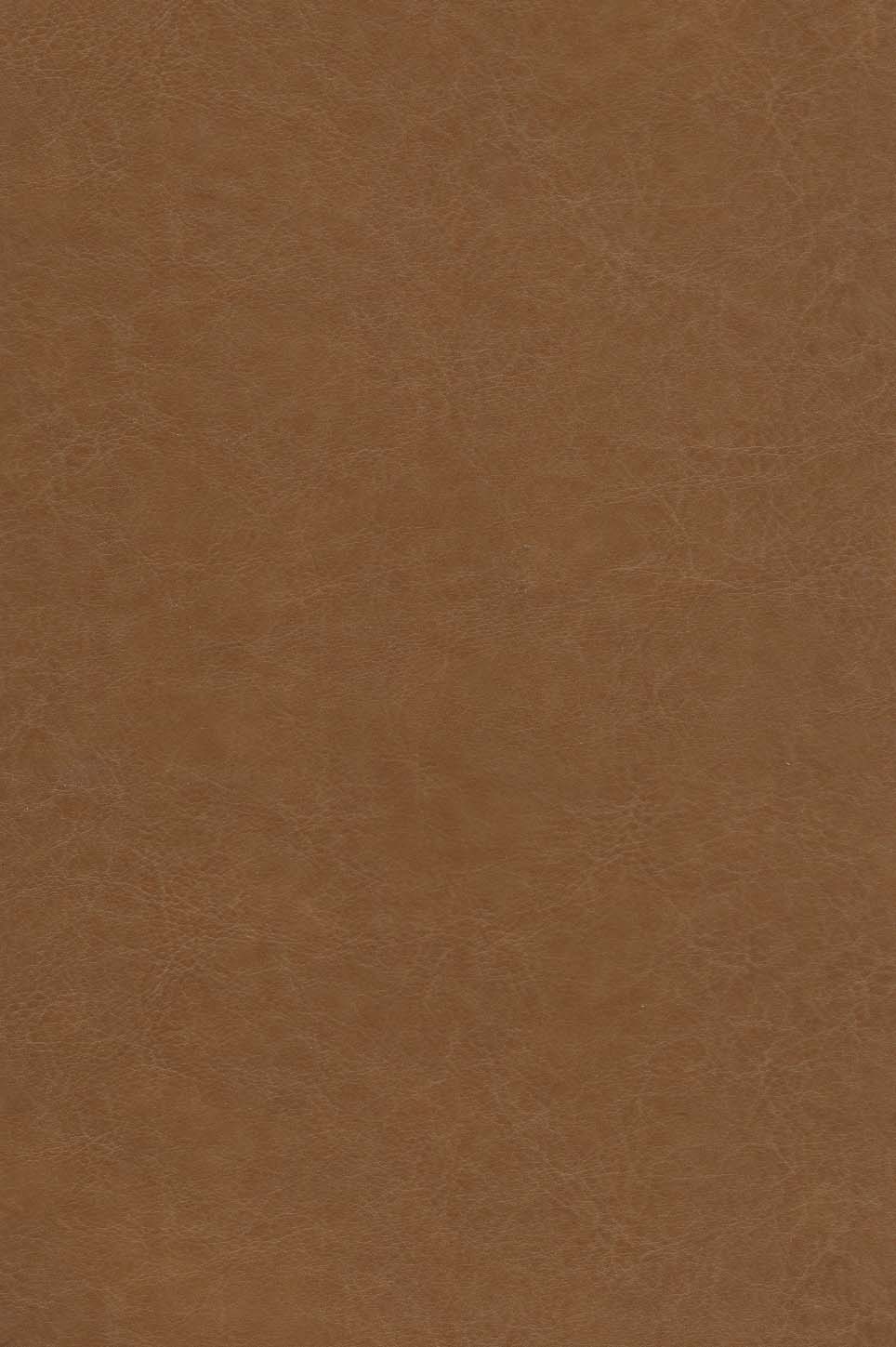 کلیات مثنوی معنوی (باقاب،چرم)