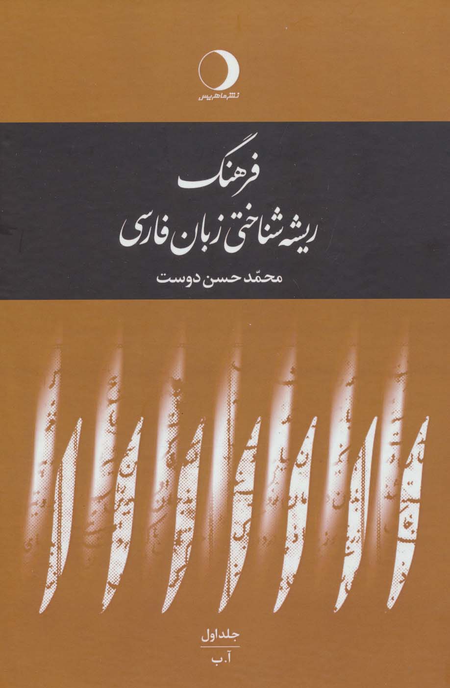 فرهنگ ریشه شناختی زبان فارسی (5جلدی)