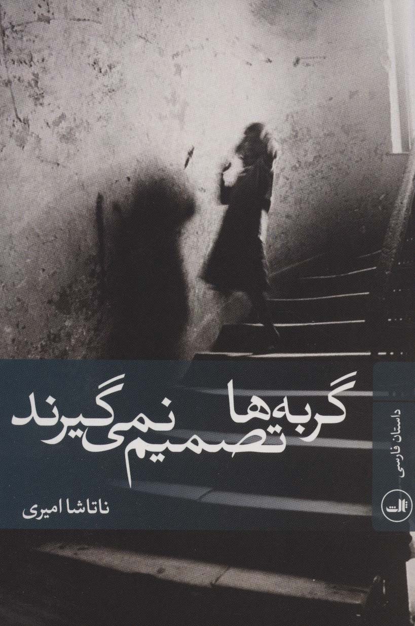 گربه ها تصمیم نمی گیرند