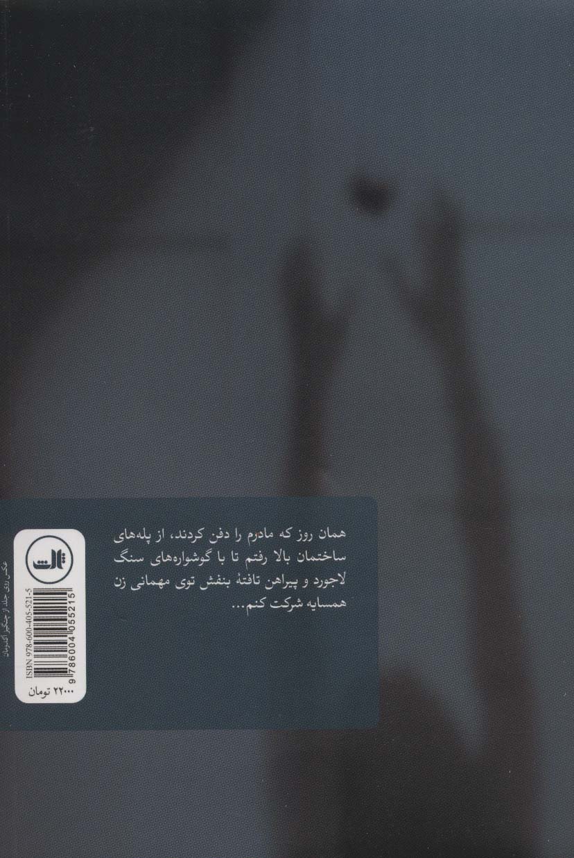 گربه ها تصمیم نمی گیرند