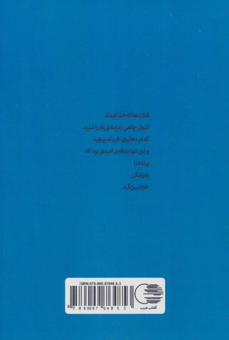 می گویم می گوید (مجموعه شعر سپید)