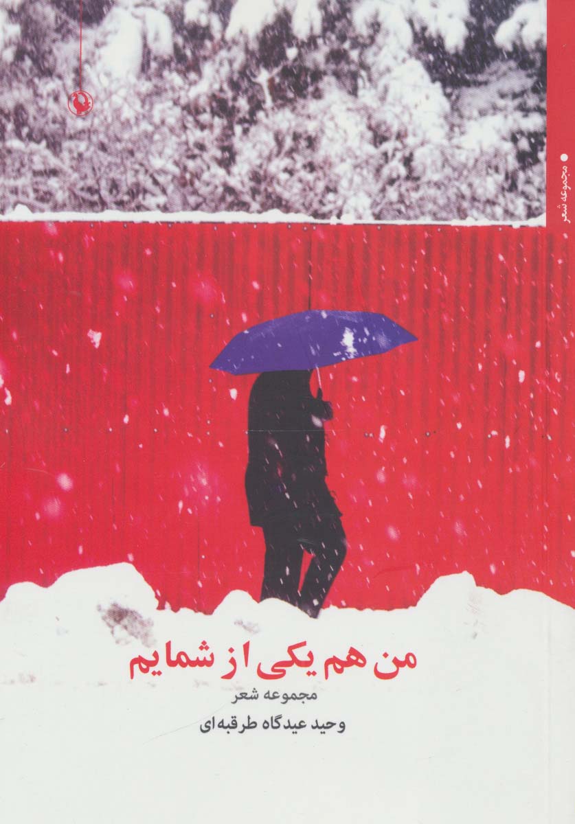 من هم یکی از شمایم (مجموعه شعر)