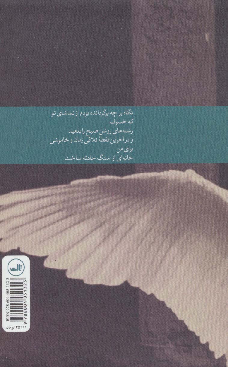 دامن به خاک می کشد ماه (شعر معاصر ایران)