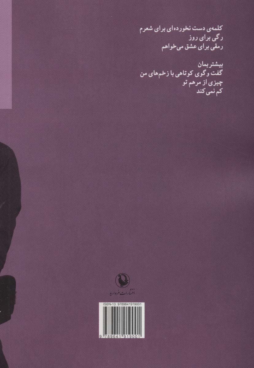 صدای من را از خواستن می شنوید (مجموعه شعر)