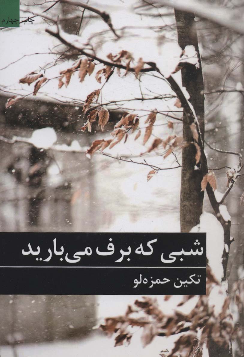 شبی که برف می بارید