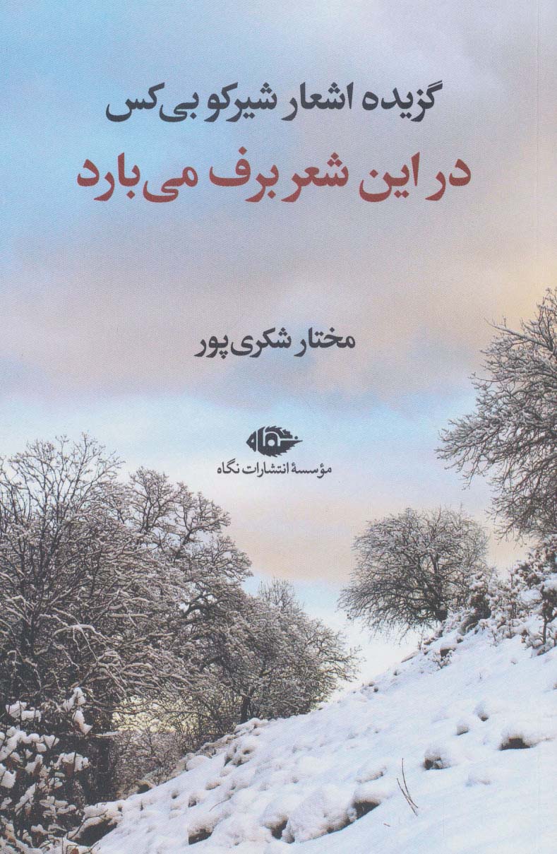 در این شعر برف می بارد (گزیده اشعار شیرکو بی کس)