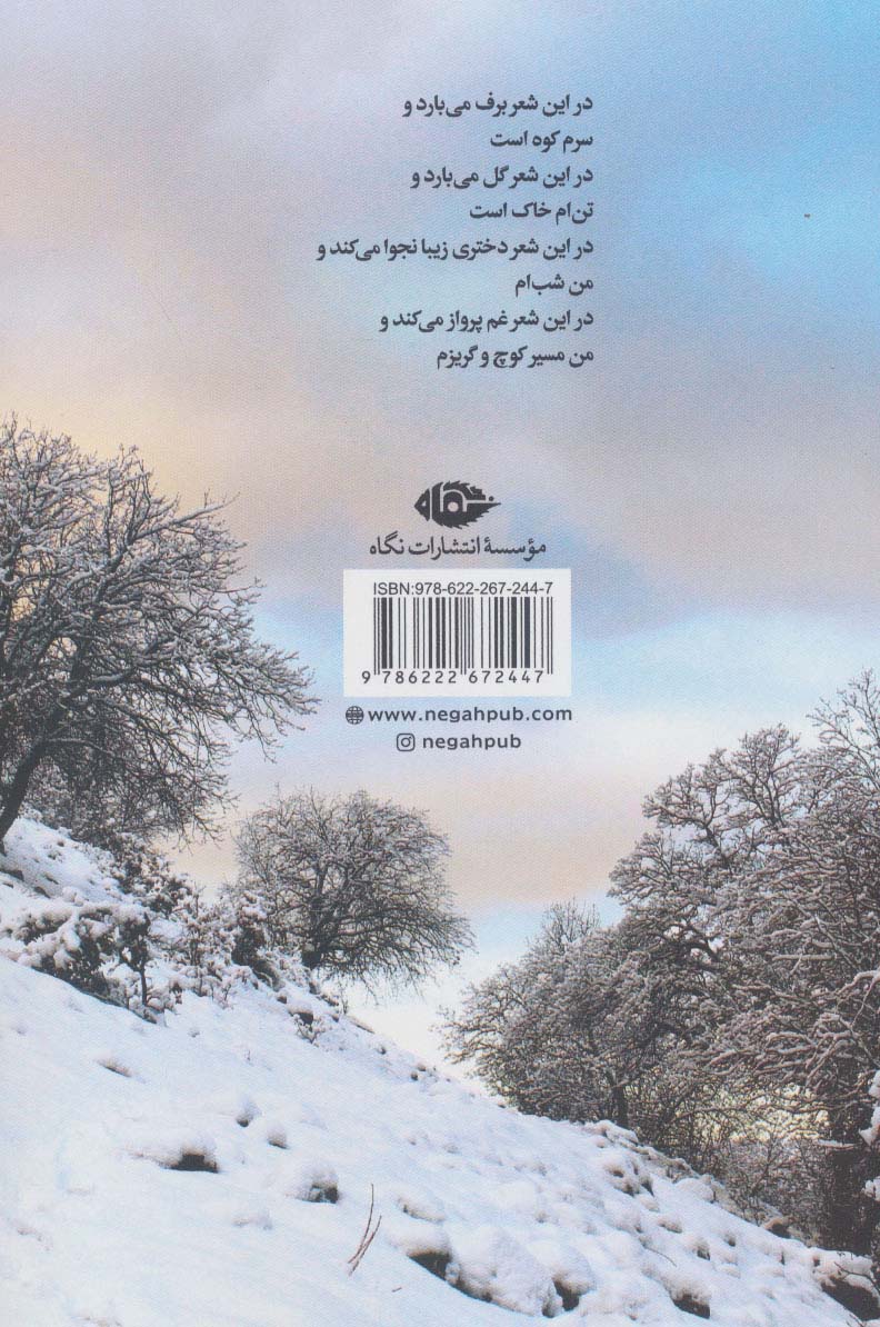 در این شعر برف می بارد (گزیده اشعار شیرکو بی کس)