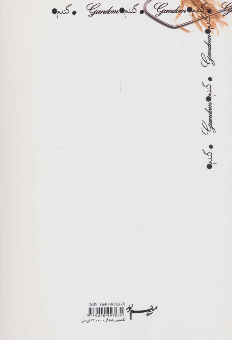 گندم