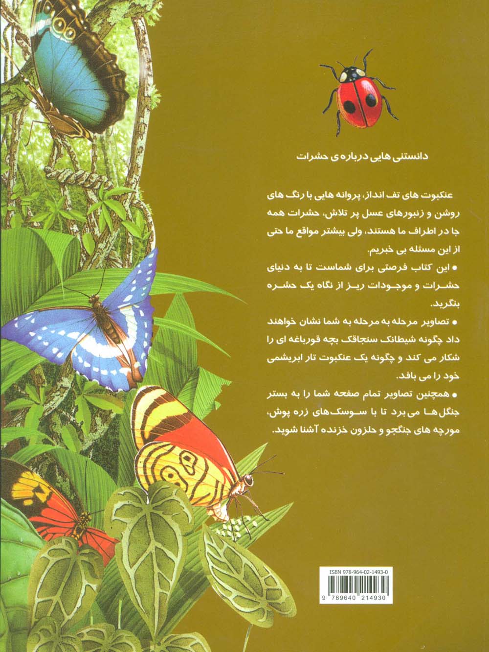 دانستنیهایی درباره ی حشرات (گلاسه)