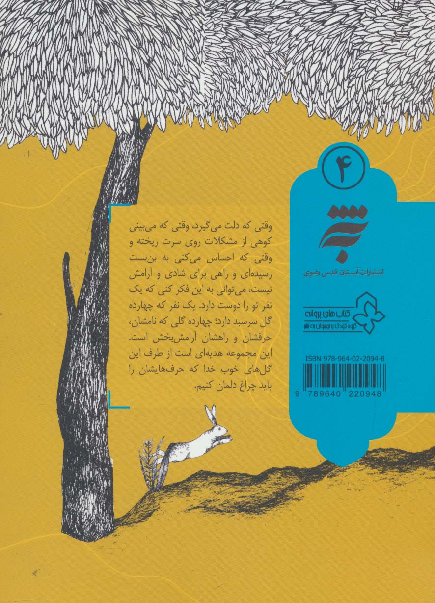 یک نفر تو را دوست دارد 4 (امام حسن (ع))
