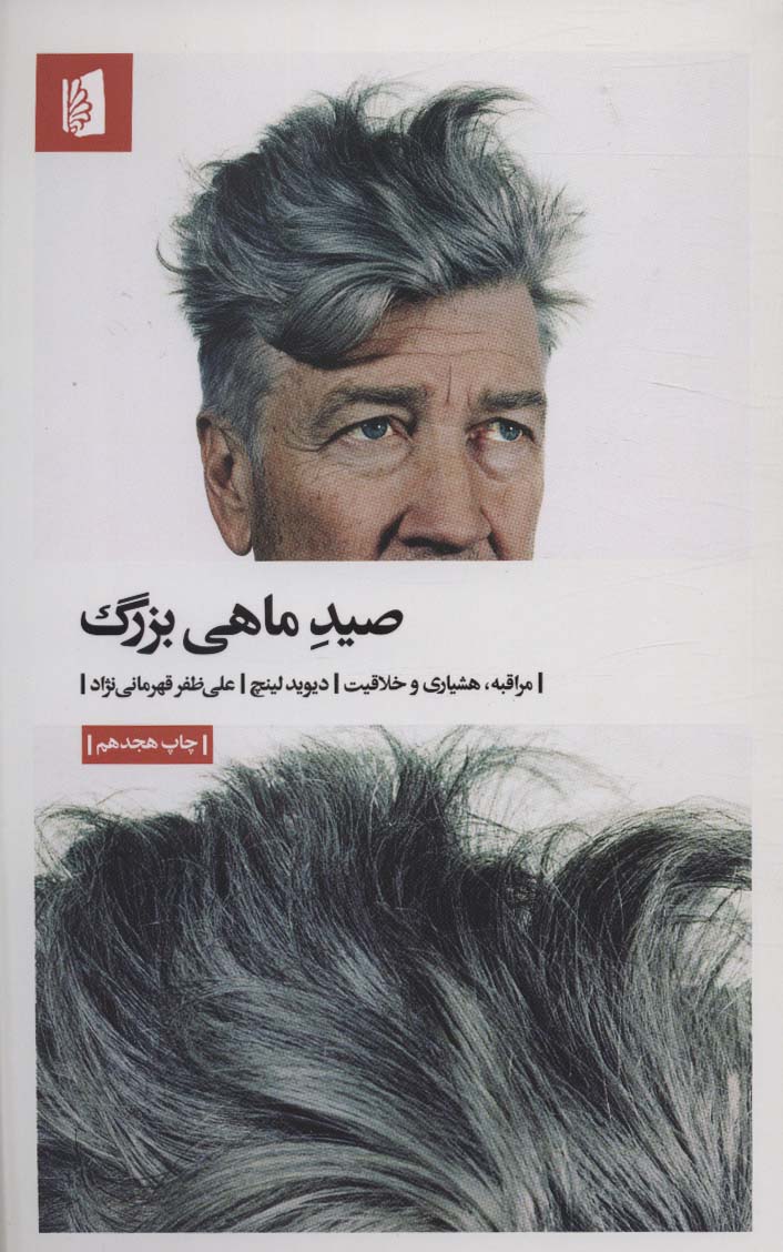 صید ماهی بزرگ (مراقبه،هشیاری و خلاقیت)